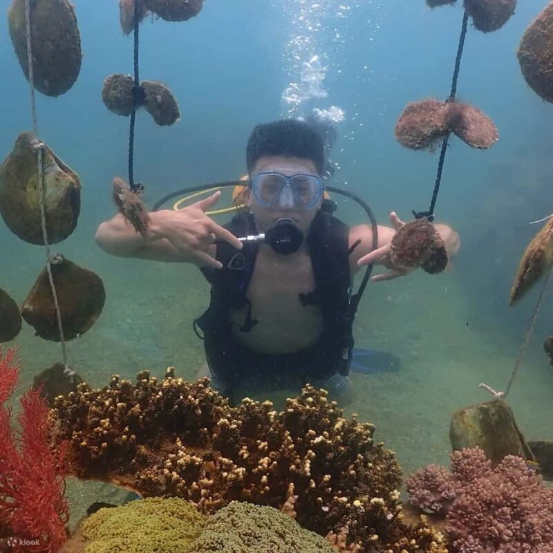 Nha Trang: Hoang Gia Pearl Museum Discovery & Pearl Diving - Good To Know