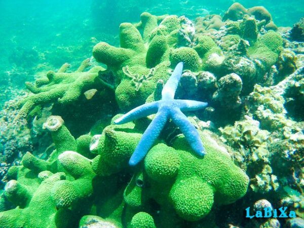 Nha Trang: Island Hopping Boat Tour With Snorkeling & Lunch - Reservation Options and Flexibility