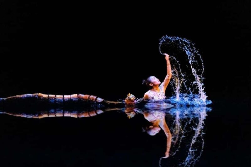 Nha Trang: Life Puppets Show Ticket at ó Theater - The Experience for Different Types of Travelers