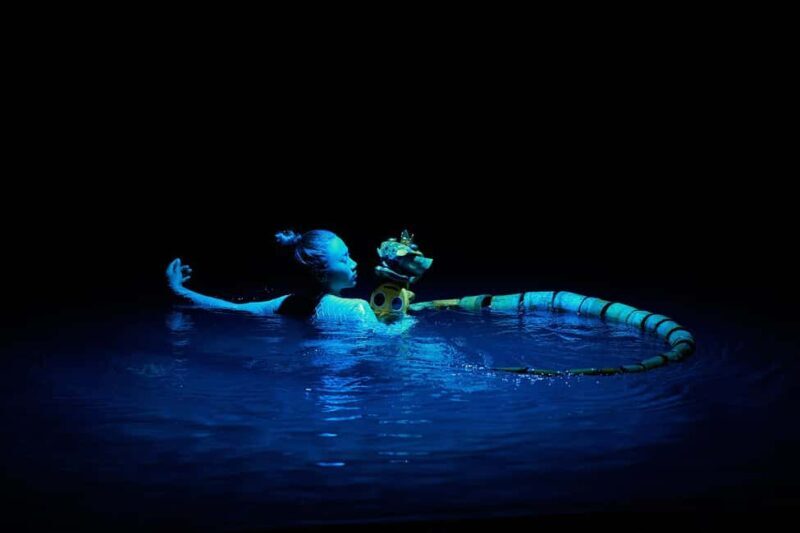 Nha Trang: Life Puppets Show Ticket at ó Theater - The experience of watching the show