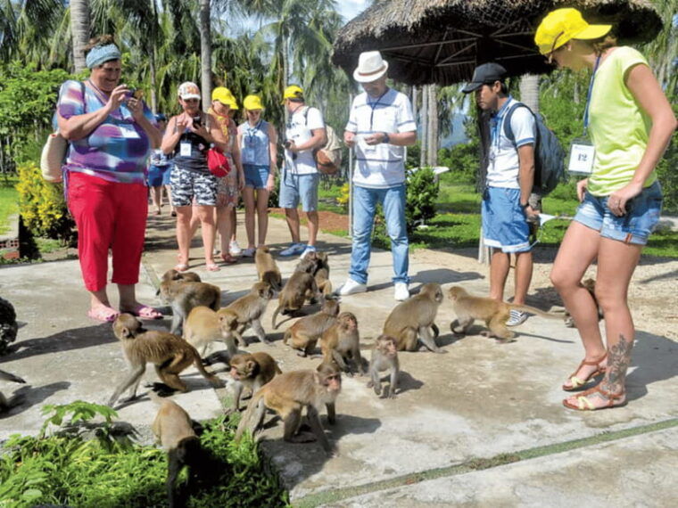 Nha Trang: Monkey Island With Orchids Island Combo Ticket - Discovering Orchid Island