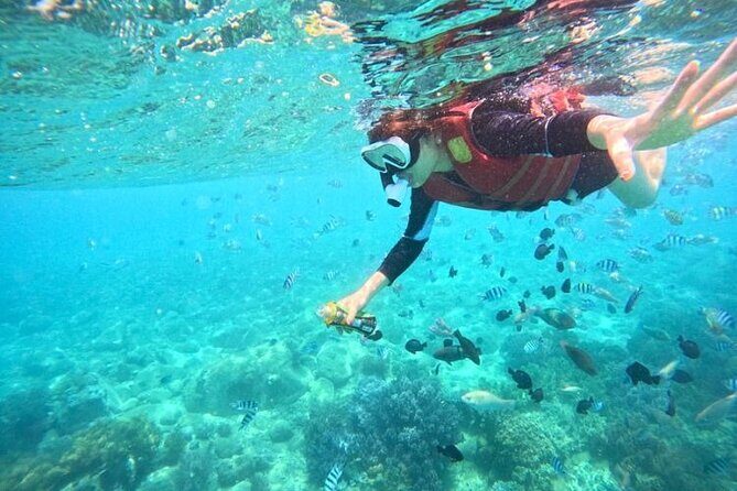 Nha Trang Mun Island Snorkeling Coral Reef Tour with BBQ Lunch - Who Is This Tour Best For?