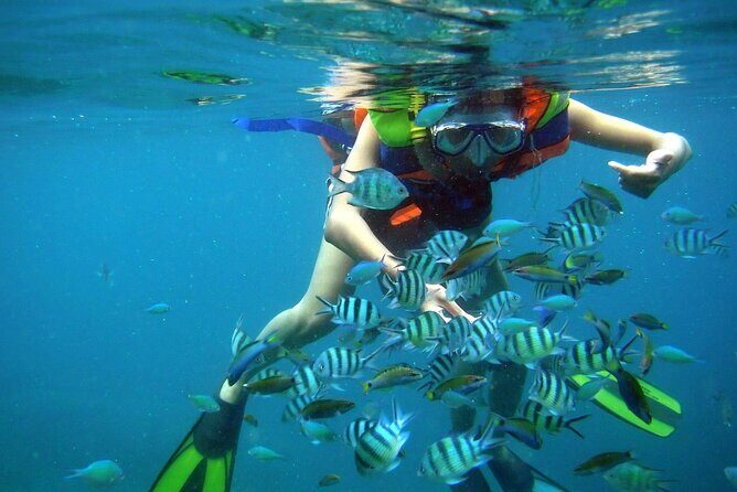 Nha Trang Mun Island Snorkeling Coral Reef Tour with BBQ Lunch - Good To Know