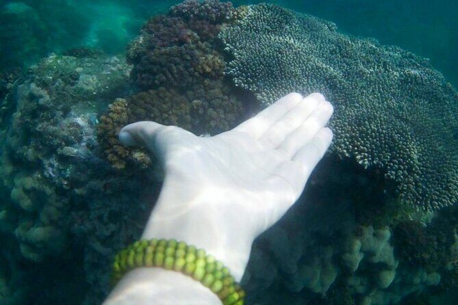 Nha Trang: Private fishing tour: Snorkeling - Fishing -Mini Beach - FAQs