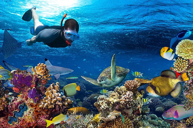 Nha Trang Private Tour To Mini Beach Included Lunch And Snorkel Gear - Directions and Contact Details