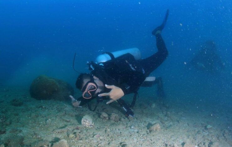 Nha Trang: Scuba Diving Experience for Non-Certified Divers - Booking Details