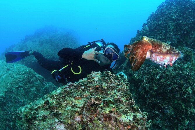 Nha Trang Scuba Diving Tour 2 Dives and Lunch Included - What You’ll Love About This Tour