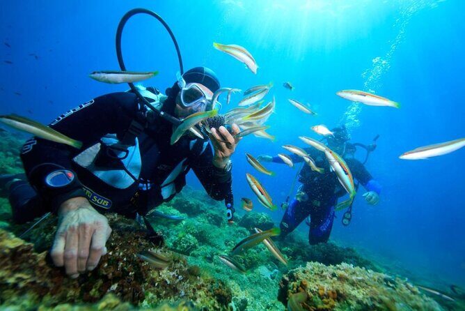 Nha Trang Scuba Diving Tour: 2 Dives for Beginners at Marine Park - Good To Know