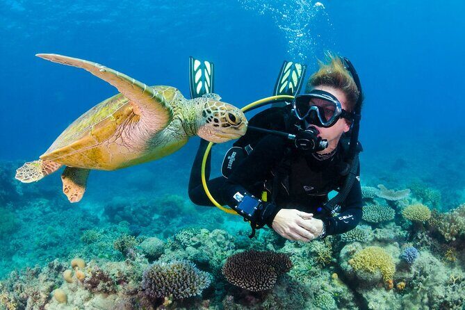 Nha Trang Scuba Diving Tour: 2 Dives for Beginners at Marine Park - Final Thoughts