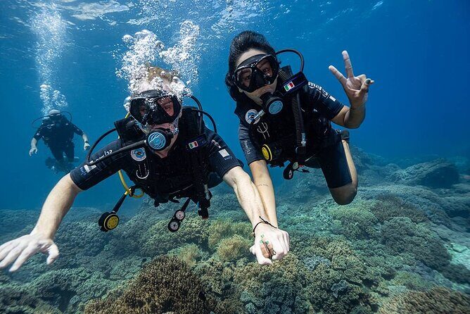 Nha Trang Scuba Diving Tour: 2 Dives for Beginners at Marine Park - Good To Know