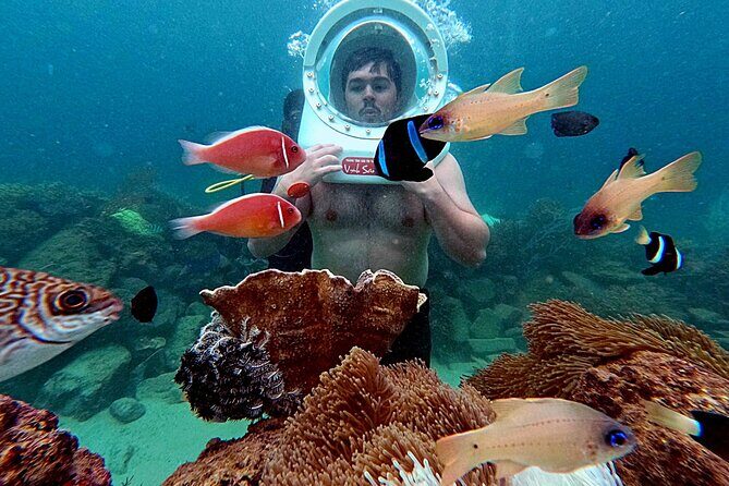 Nha Trang Sea Walking Tour and Local Cuisine - Island Hopping and Sea Walking