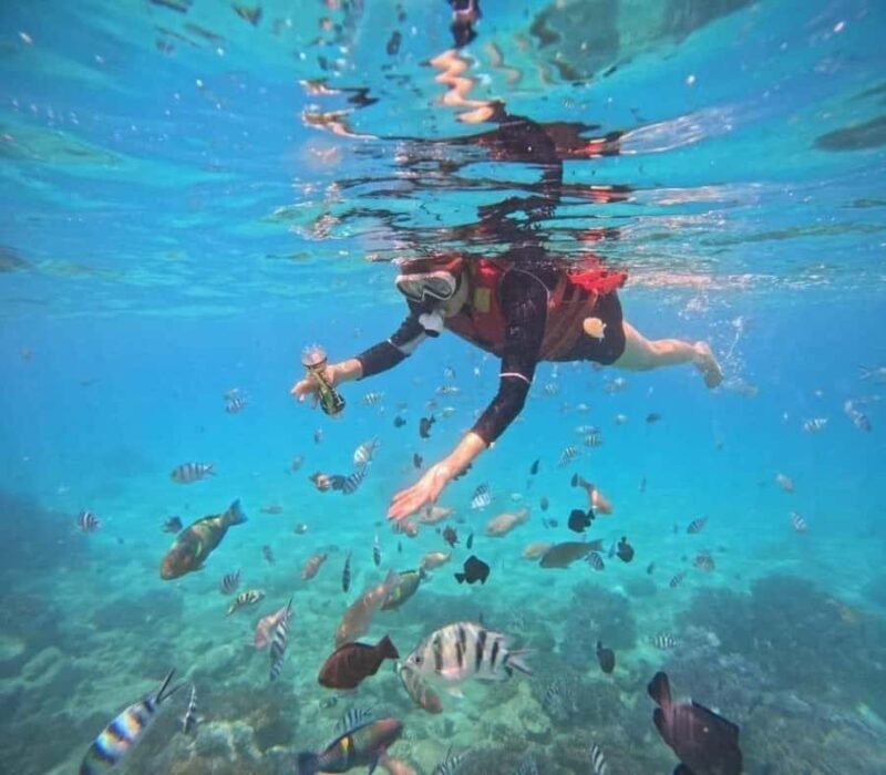 Nha Trang: Snorkeling at Marine Park with Lunch - An In-Depth Look at This Snorkeling Adventure