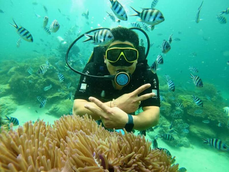 Nha Trang: Snorkeling at Marine Park with Lunch - The Sum Up