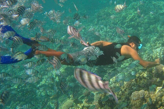 Nha Trang Snorkeling Fishing BBQ and Mini Beach Relaxation Tour - Good To Know  