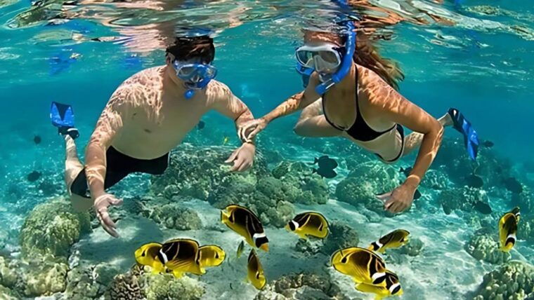 Nha Trang: Snorkeling, Lunch, and Mini Beach - Lunching on Local Seafood