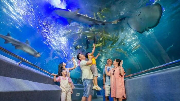 Nha Trang: Snorkeling, Lunch, and Mini Beach - Inclusions and Exclusions