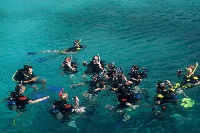 Nha Trang: Snorkeling, Mun Island and Mini Beach Day Trip - Important Considerations