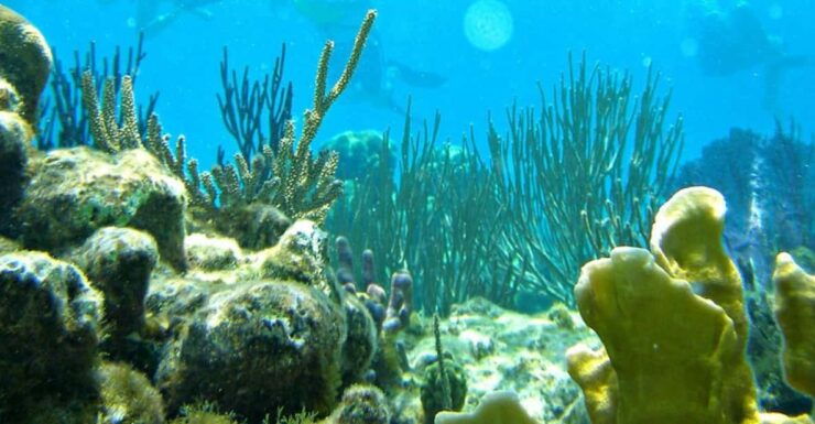 Nha Trang: Snorkeling - Sunbathing - Explore Fishing Village - Itinerary of Your Adventure