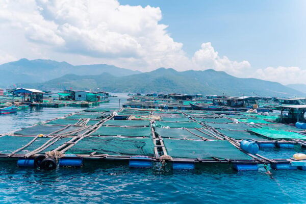 Nha Trang: Snorkeling - Sunbathing - Explore Fishing Village - Preparation Tips for Tourists