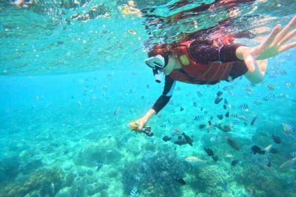 Nha Trang: Snorkeling - Sunbathing - Explore Fishing Village - Booking and Cancellation Policies