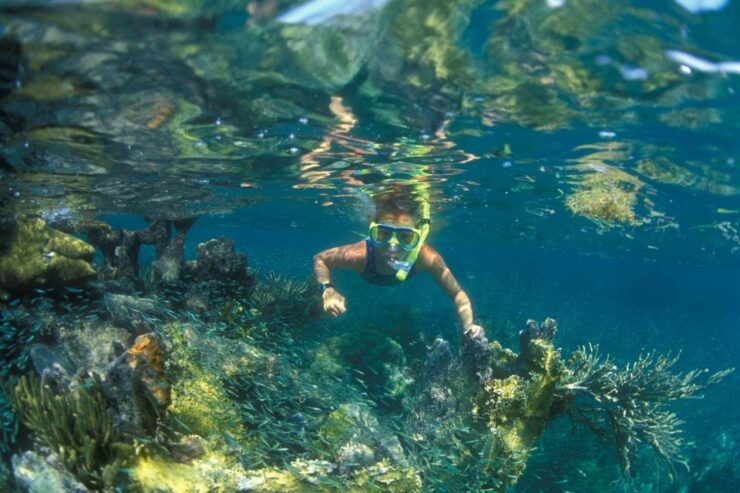 Nha Trang: Snorkeling Tour at Coral Reef - Pickup Details