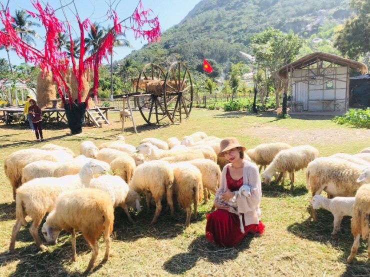 Nha Trang: Top Sightseeing Tanyoli SandHill & Spa Mudbath - Activity Highlights