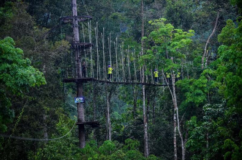Nha Trang: Zipline Canopy at Kong Forest - The Experience in Detail
