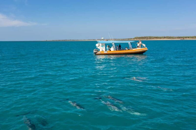 Nhulunbuy: Bremer Island Day Trip - Good To Know  