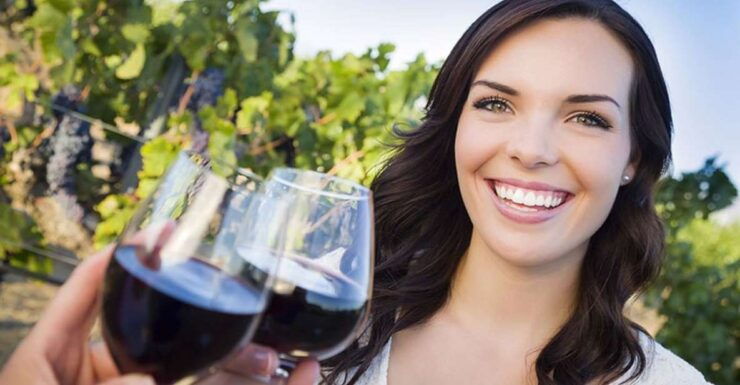 Niagara, CA: Sunset Wine Tour With Dinner - Wine Tasting Experience