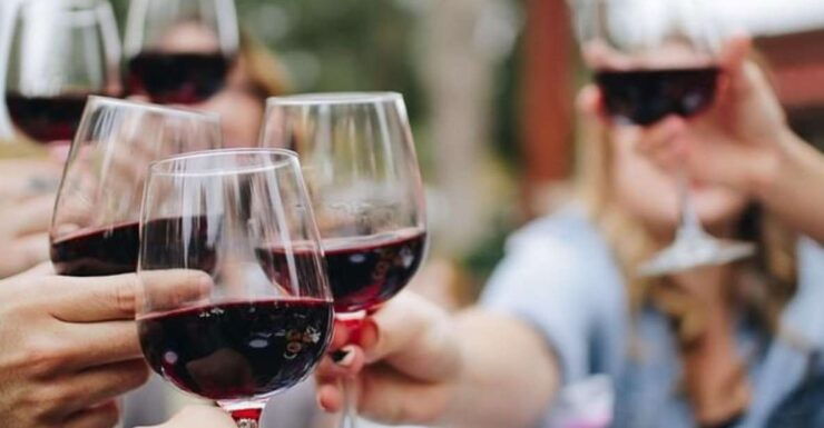 Niagara, CA: Wine Tour With Lunch - Activity Details