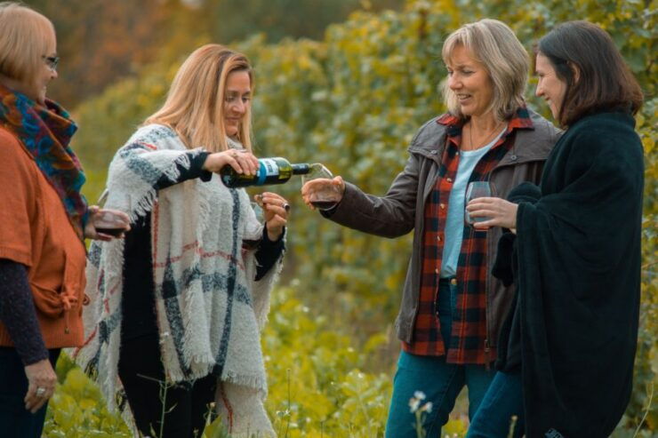 Niagara, Canada: Half-Day Winery Tour With Tastings - Live Tour Guide Information