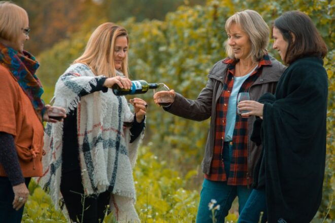 Niagara, Canada: Half-Day Winery Tour With Tastings - Guided Winery Visits