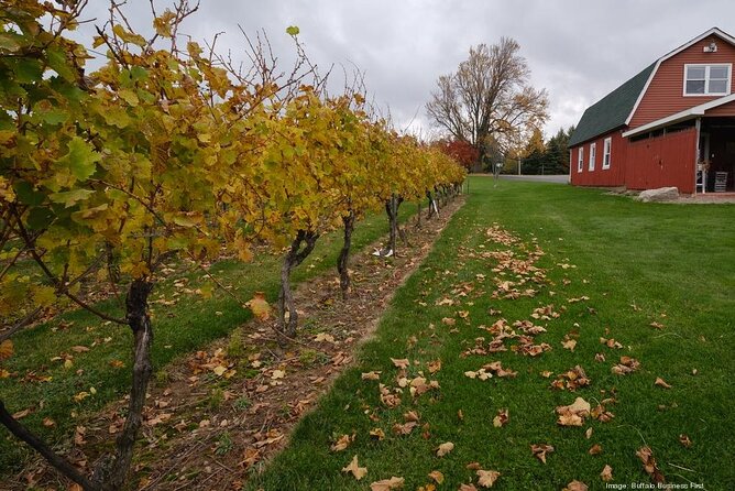 Niagara County Wine Tour and Tasting - Tour Schedule and Inclusions