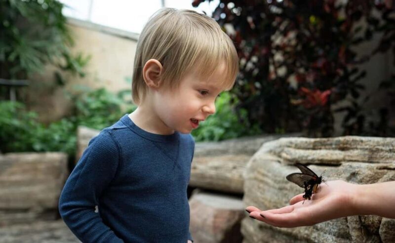 Niagara Falls: 5 Attraction Pass, WEGO Bus & Audio Guide - Real User Insights