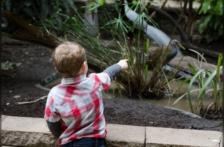 Niagara Falls, Canada: Bird Kingdom Entry Ticket - Ticket Details