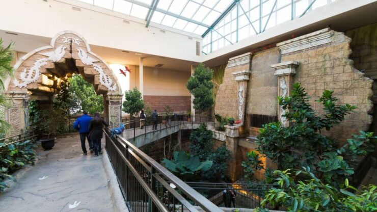 Niagara Falls, Canada: Bird Kingdom Entry Ticket - Experience