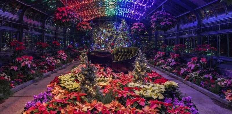 Niagara Falls, Canada: Winter Wonder Tour - Exploring Niagara Falls in Winter: What to Expect