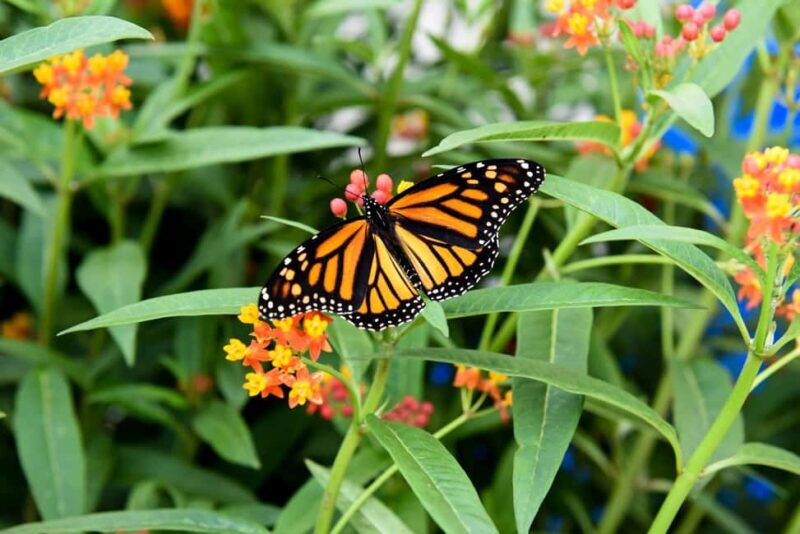 Niagara Falls, Canada: Winter Wonder Tour - The Value of This Tour