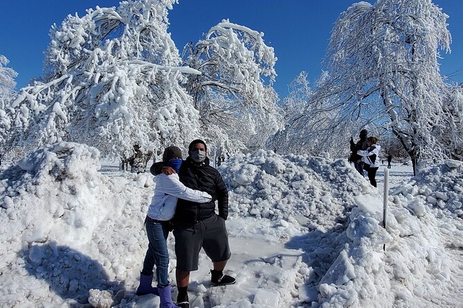 Niagara Falls Off-Season Small-Group Winter Sightseeing Tour - Itinerary and Stops