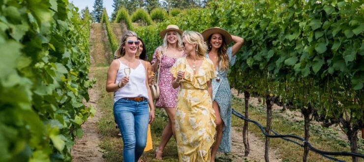 Niagara Falls: Public Niagara Wine Tour With Transportation - Itinerary and Inclusions