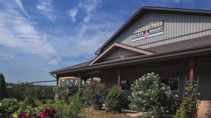 Niagara Falls: Public Niagara Wine Tour With Transportation - Transportation and Meeting Points