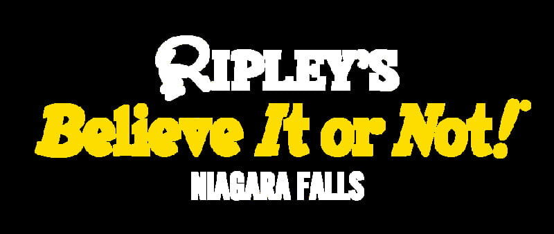 Niagara Falls: Ripley's Believe It or Not! Museum Entry - The Sum Up