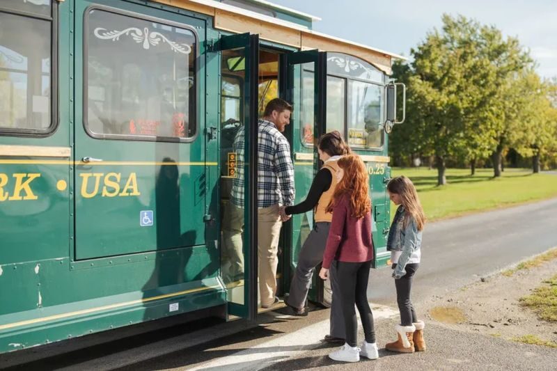 Niagara Falls Tour from USA with Optional Add-Ons - A guide, a group, and a fixed schedule