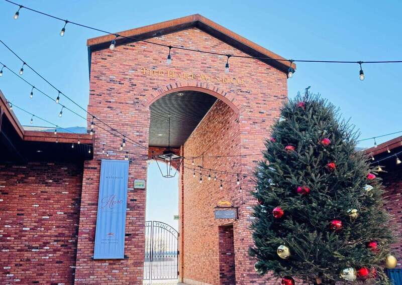 Niagara Falls Tour with Skip the Line Cruise - Who Would Love This Tour?