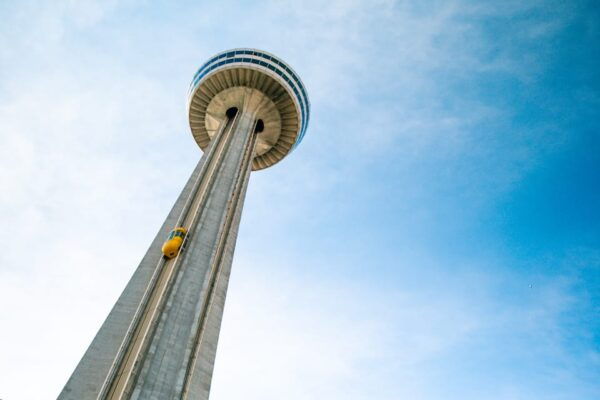 Niagara Falls: US & Canada Full-Day Tour & Lunch - Pickup and Drop-off Convenience