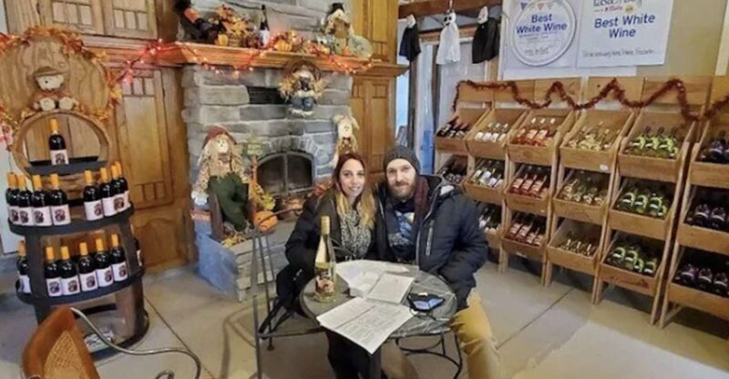 Niagara Falls: USA Small-Group Boutique Wine Tour - Final Thoughts: Who Will Love This Experience?