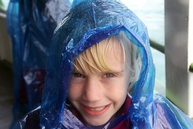 Niagara Falls USA Walking Tour with Cave and Maid of the Mist - Who Should Take This Tour?