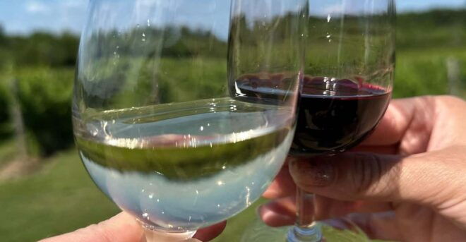 Niagara Falls Wine Tour From Toronto on RV - Motorhome - Meeting Point and Directions
