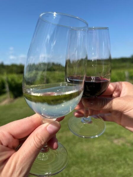 Niagara Falls Wine Tour From Toronto on RV - Motorhome - Exploring the Canadian Side
