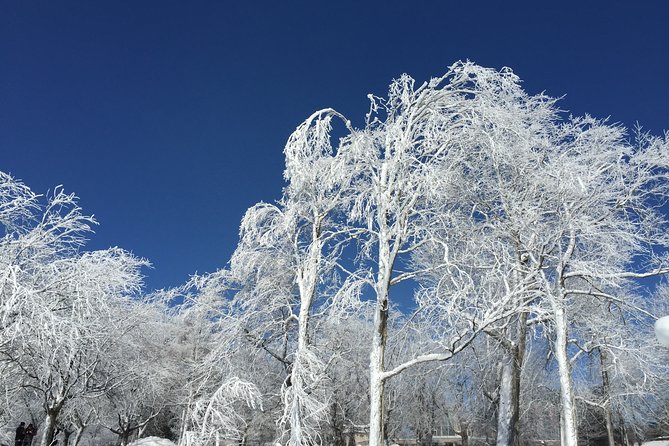 Niagara Falls Winter Wonderland USA Tour (Small Groups) - Inclusions